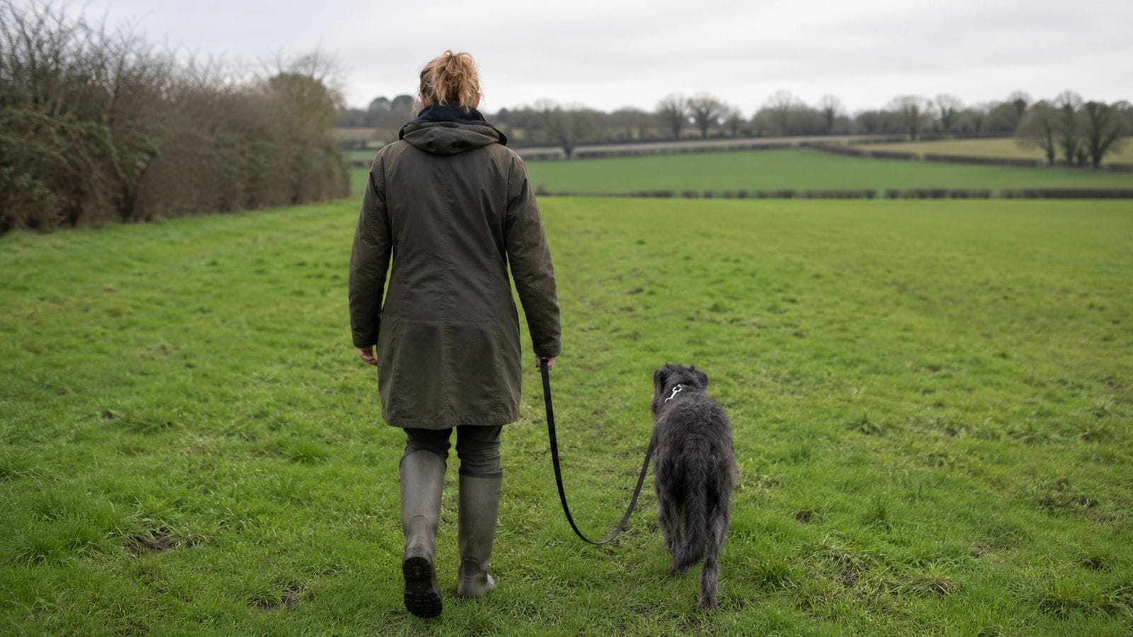 A shy dog sniffing the ground at the edge of a quiet grassy field